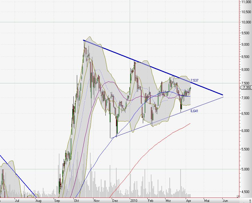 C.A.T. Oil - Die Katze überschlägt sich fast 312839