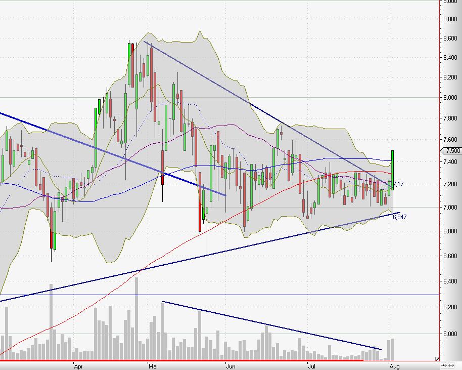 C.A.T. Oil - Die Katze überschlägt sich fast 335703