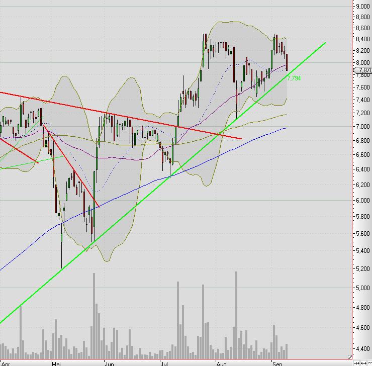 Elmos Semiconductor 344065