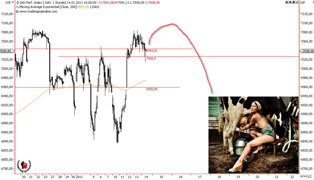 Die Bullen scharren gar nicht mit den Hufen, 373201