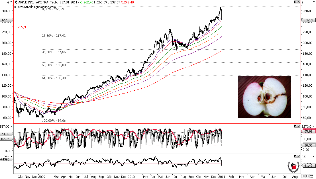 Die Bullen scharren gar nicht mit den Hufen, 373627
