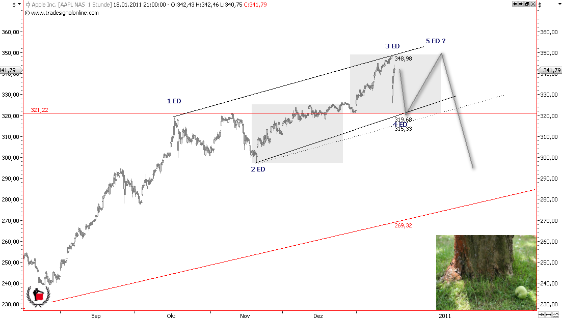 Die Bullen scharren gar nicht mit den Hufen, 373916