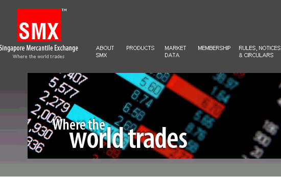 SCHWER-Gewichte in SILBER 403814