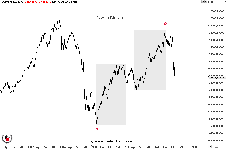 Die Bullen scharren gar nicht mit den Hufen, 431797