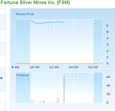 SCHWER-Gewichte in SILBER 440703