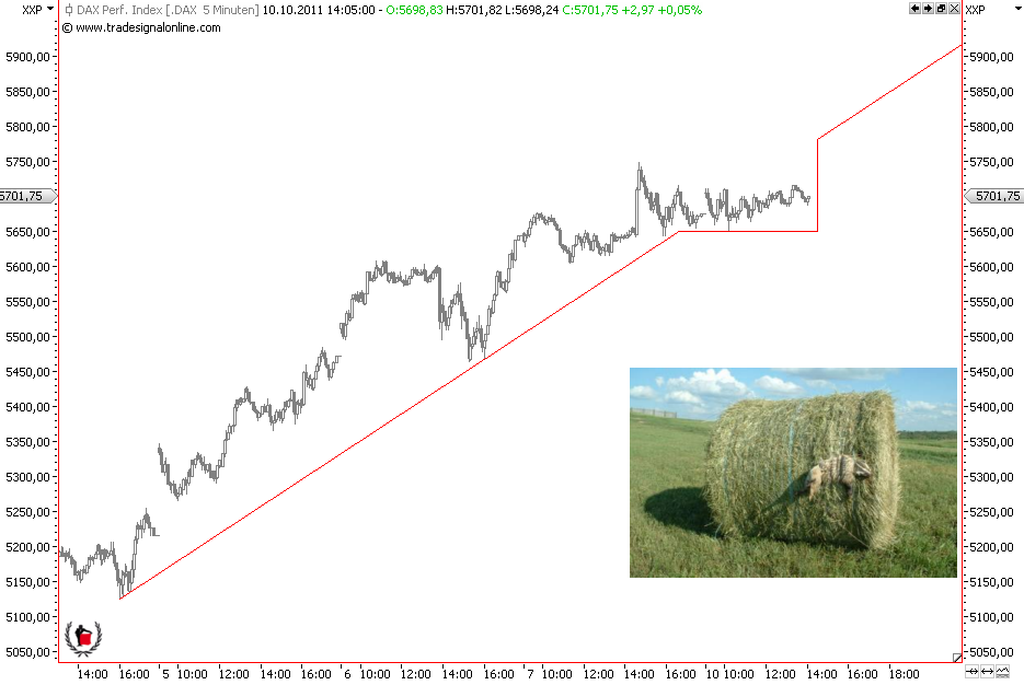 Die Bullen scharren gar nicht mit den Hufen, 446658