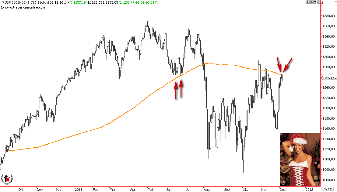 Die Bullen scharren gar nicht mit den Hufen, 464770