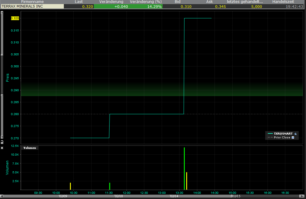 Terrax Minerals vor Giga-News? 381115
