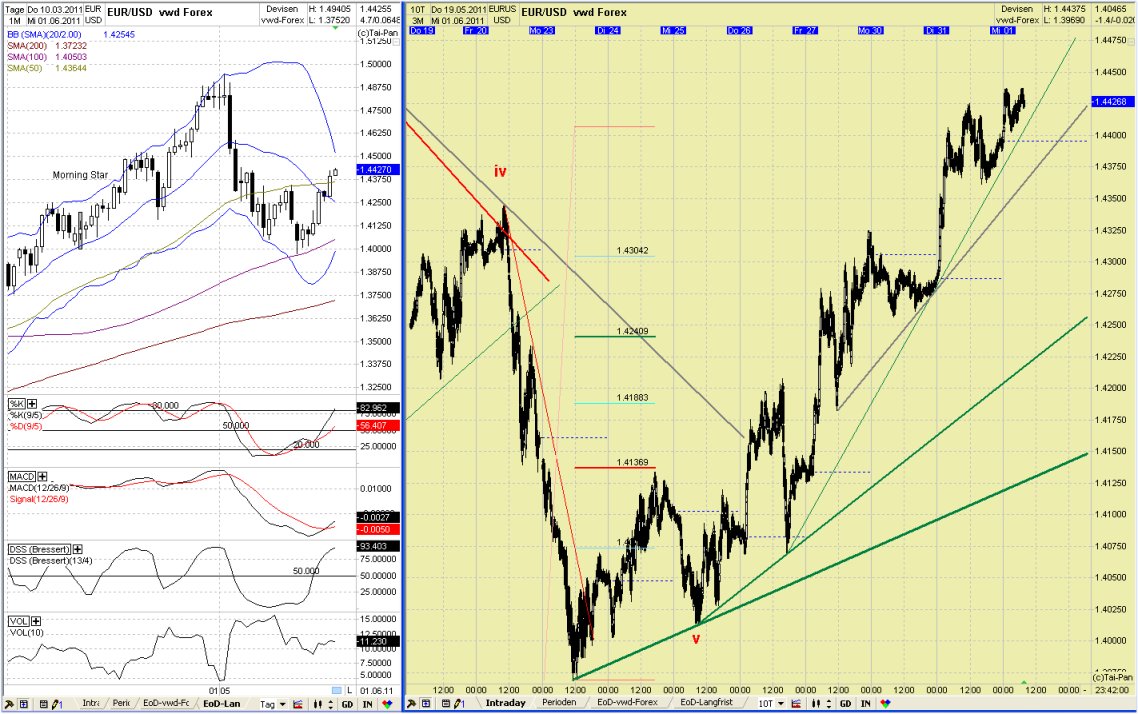 Elliott Wave EUR/USD daily 408148