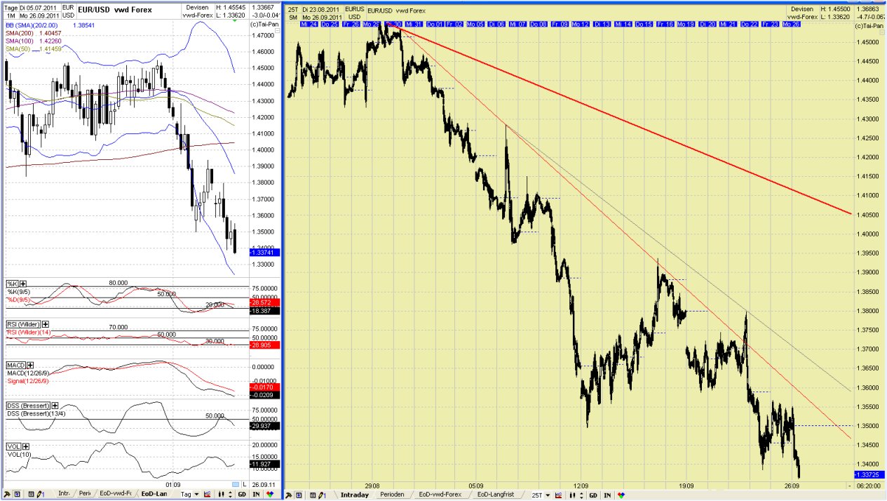 Elliott Wave EUR/USD daily 442731