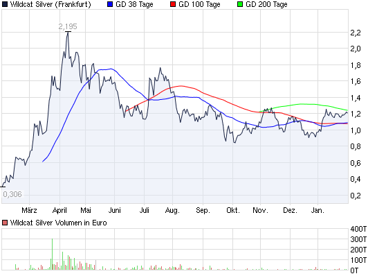 SCHWER-Gewichte in SILBER 481309