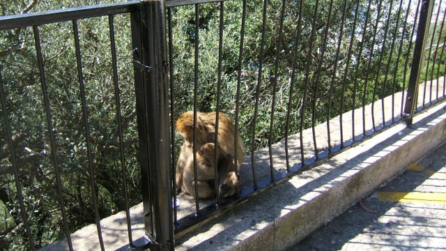 1.943.DAX Tipp-Spiel, Donnerstag, 22.11.2012 555506