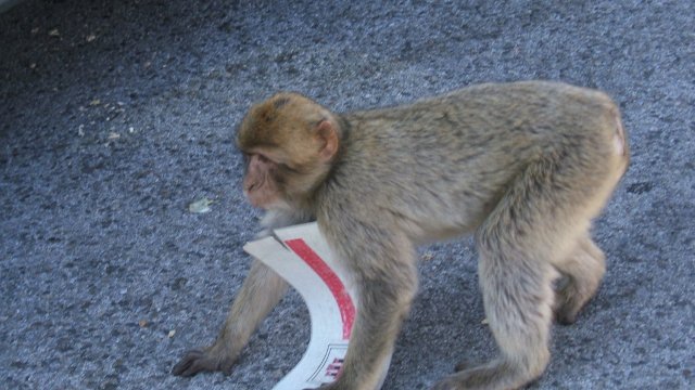 1.891.DAX Tipp-Spiel, Dienstag, 11.09.2012 535912