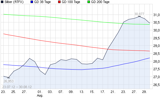 SCHWER-Gewichte in SILBER 533733