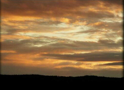 Europa-Fluch oder Segen für die Banken (z.B.Coba)? 536243