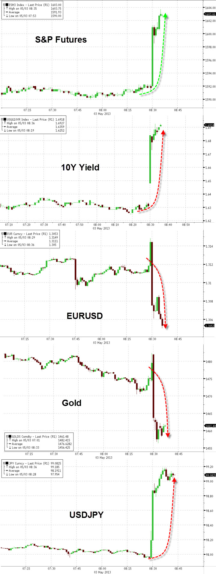 Der USA Bären-Thread 602999