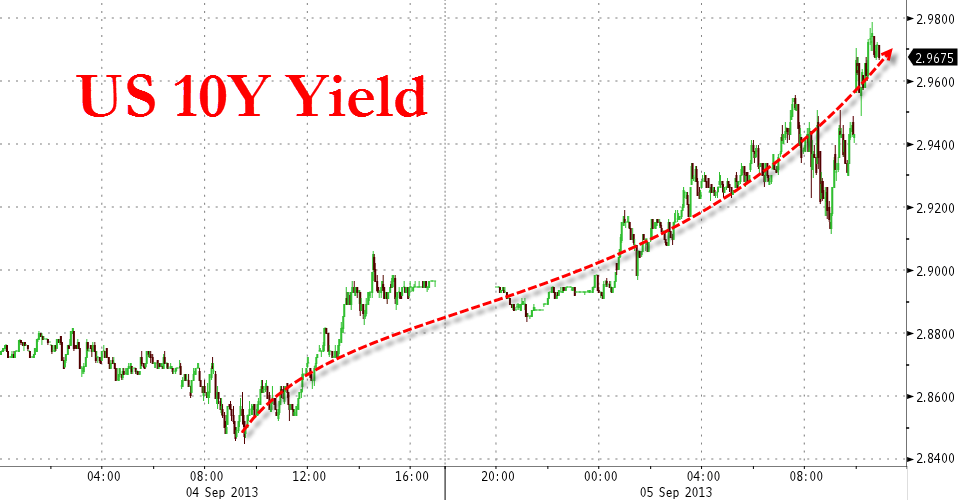 Der USA Bären-Thread 641369