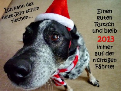 QV ultimate 2012 565450