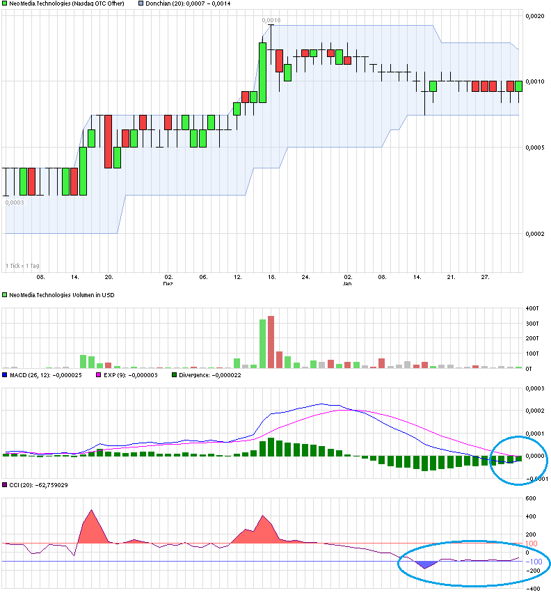 Neomedia: Fakten, Chancen und Risiken 690092
