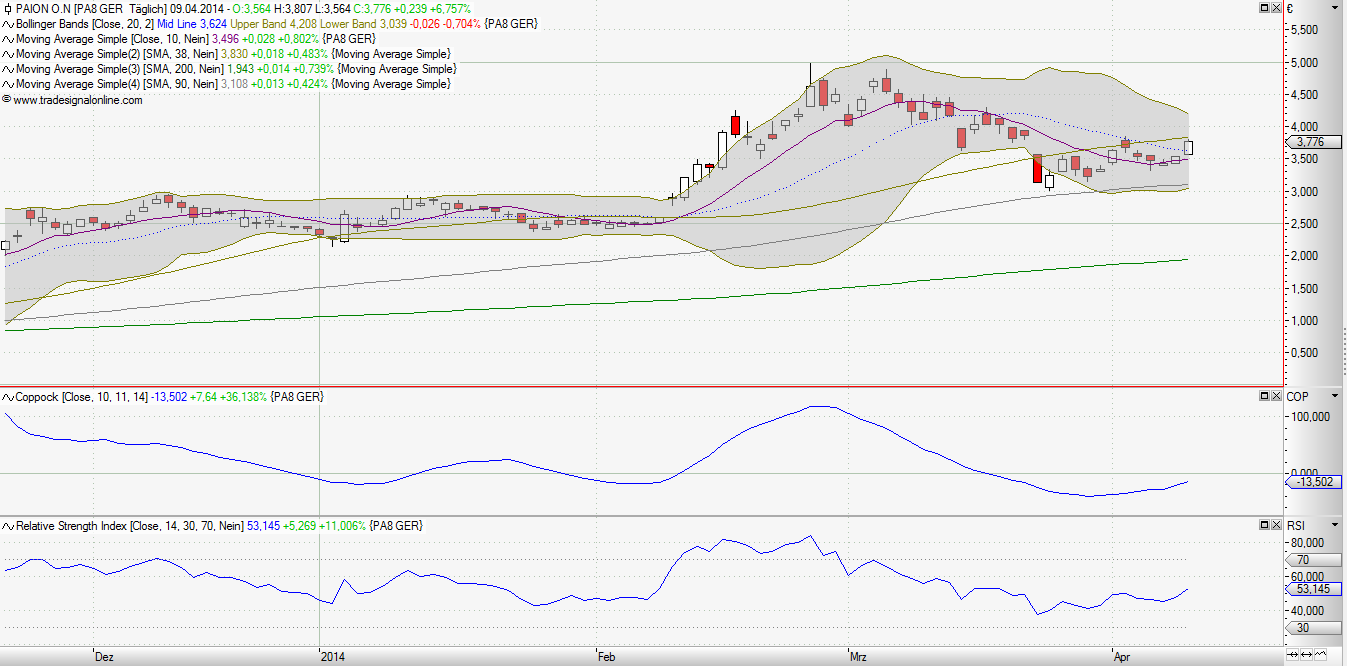 PAION Eine Fledermaus lernt wieder fliegen 712745