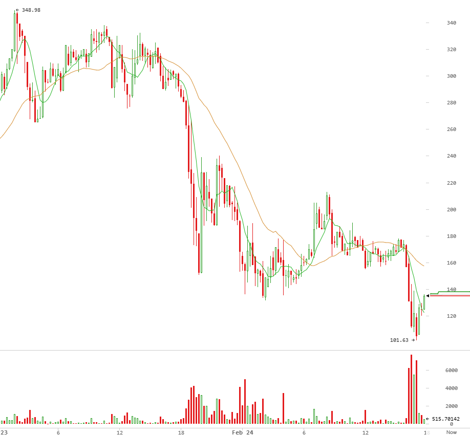 Der USA Bären-Thread 698520