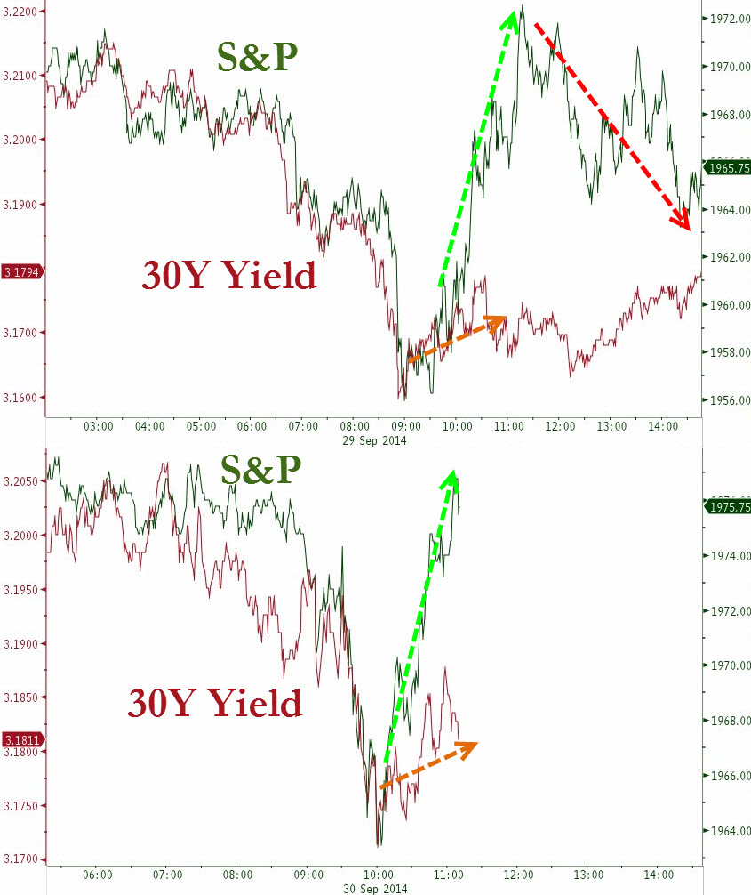 Der USA Bären-Thread 760917