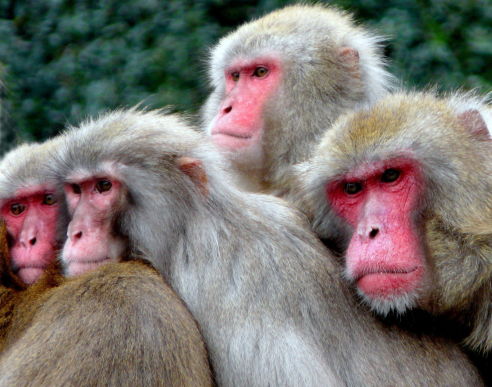 Aixtron geht seinen Weg 203331