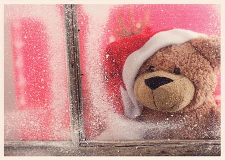 Der USA Bären-Thread 564301