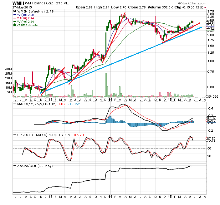 WMI Holdings ! Gibt es eine Alternative ? 828847