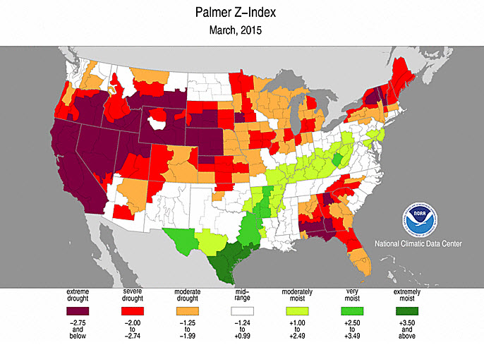 Der USA Bären-Thread 818738