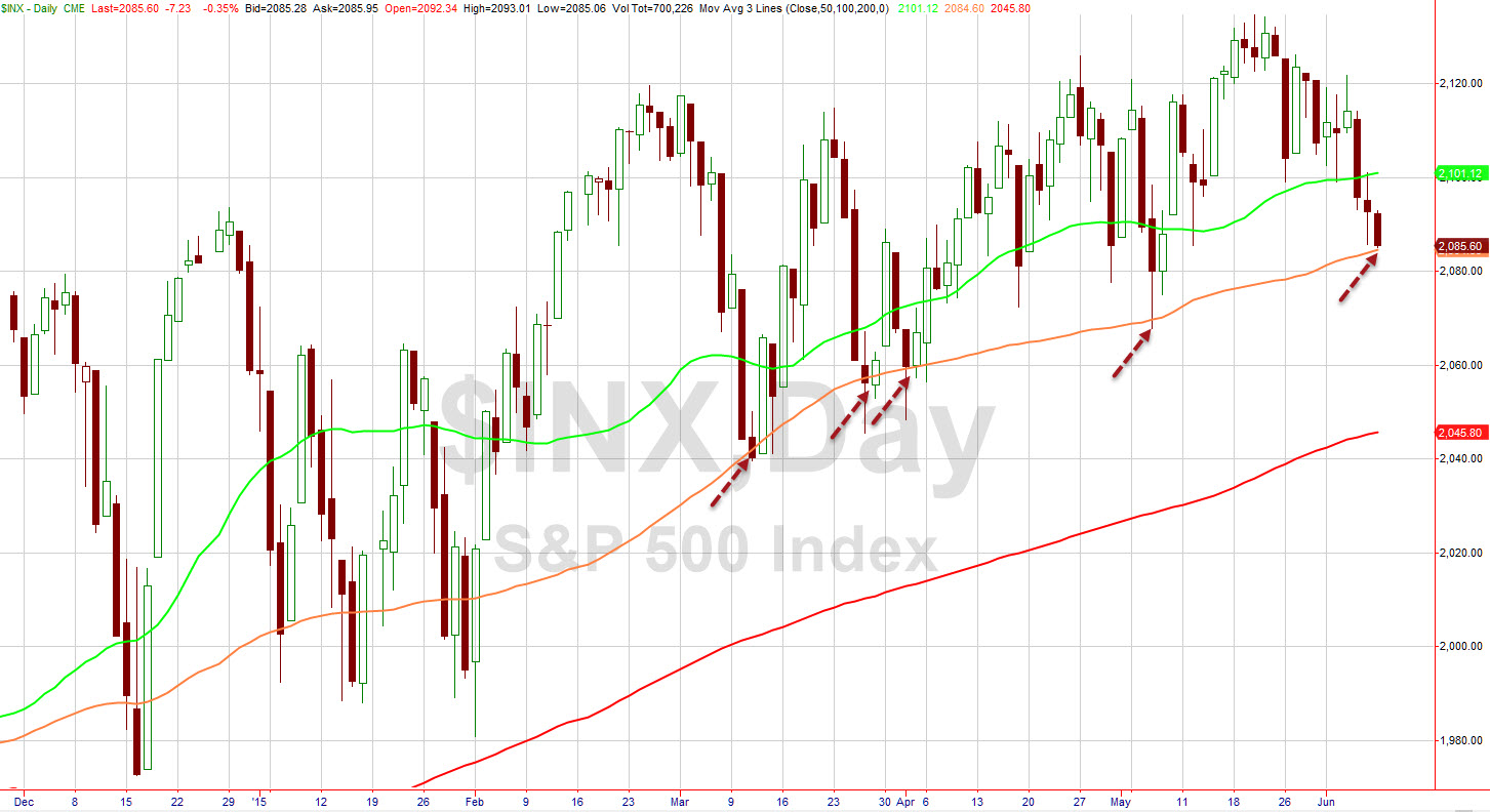 Der USA Bären-Thread 831541