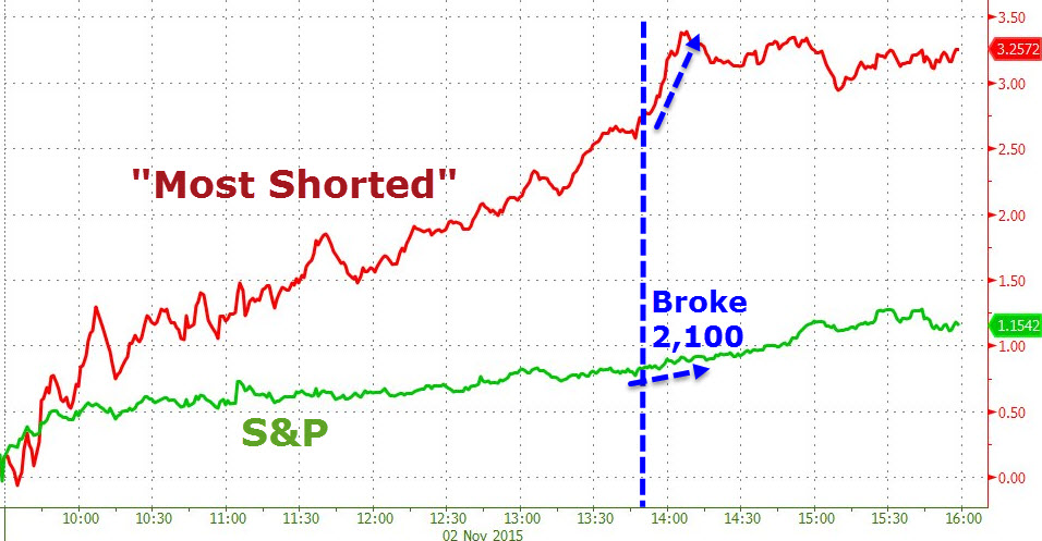 Der USA Bären-Thread 869048