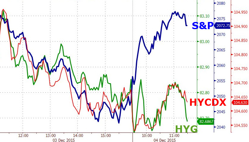 Der USA Bären-Thread 876350