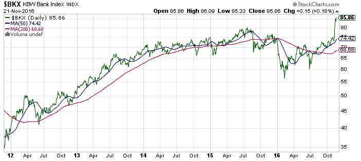 Der USA Bären-Thread 953944