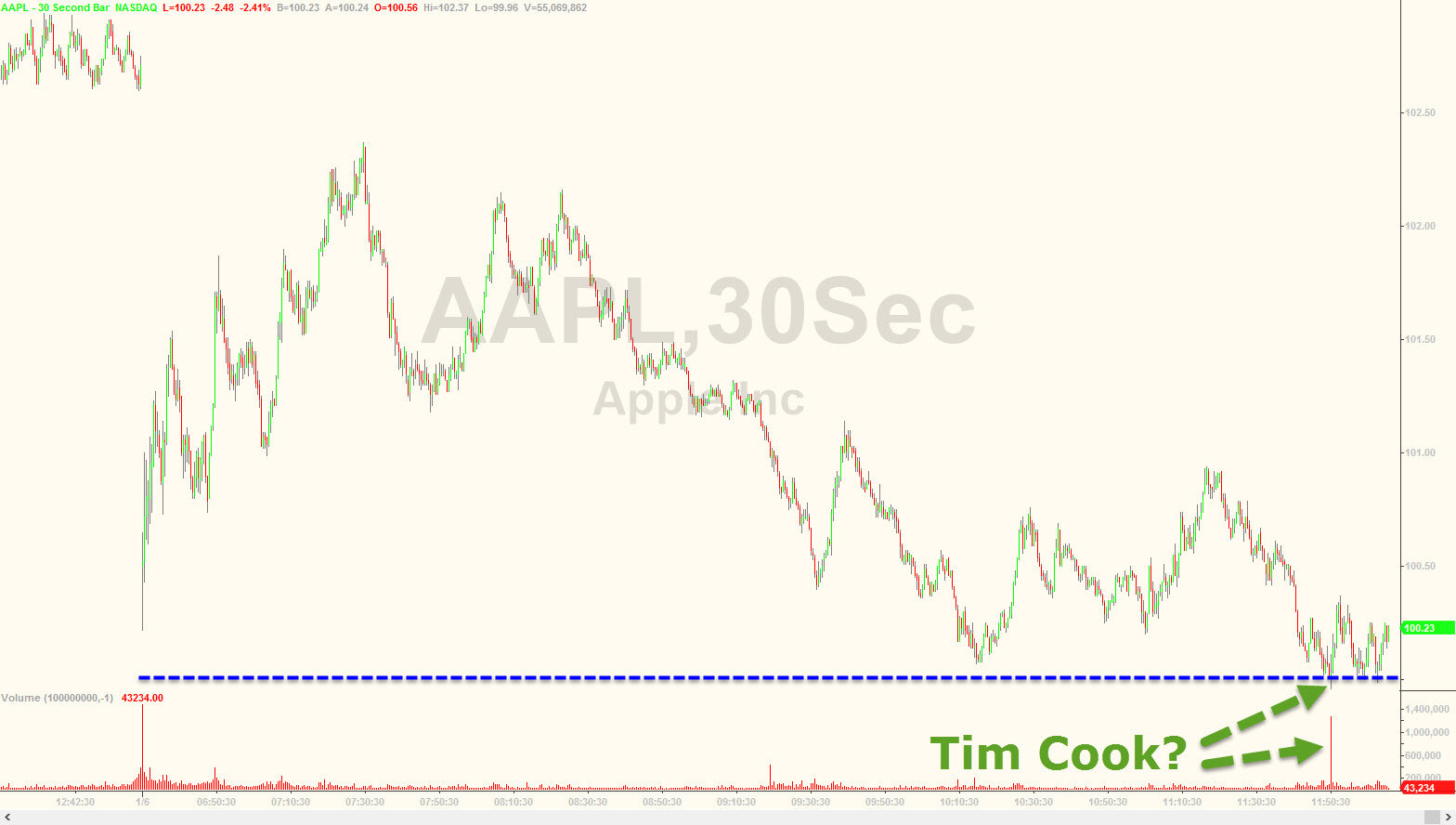 Der USA Bären-Thread 882889