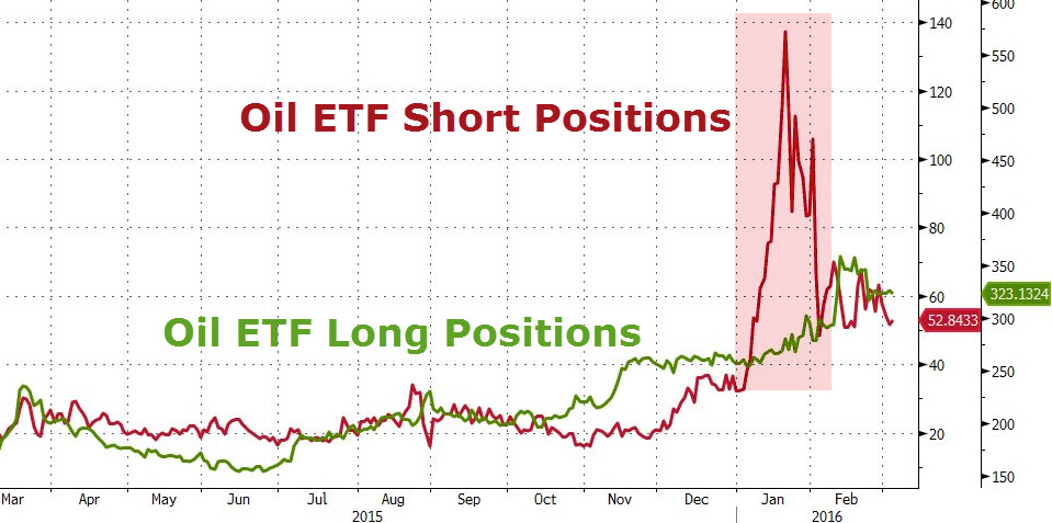 Der USA Bären-Thread 898445