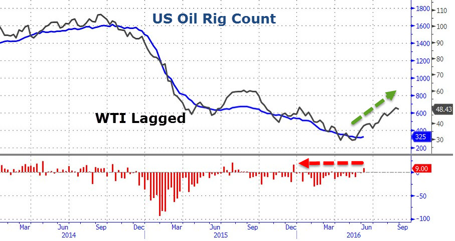 Der USA Bären-Thread 918121