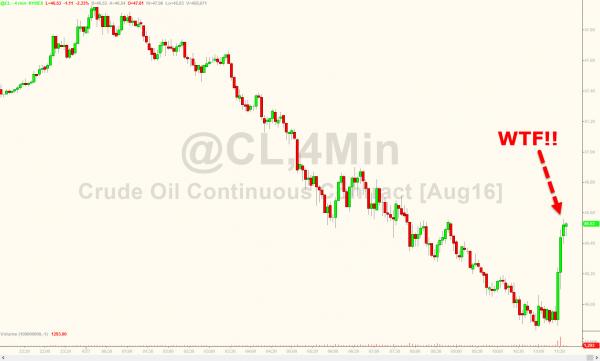 Der USA Bären-Thread 923371