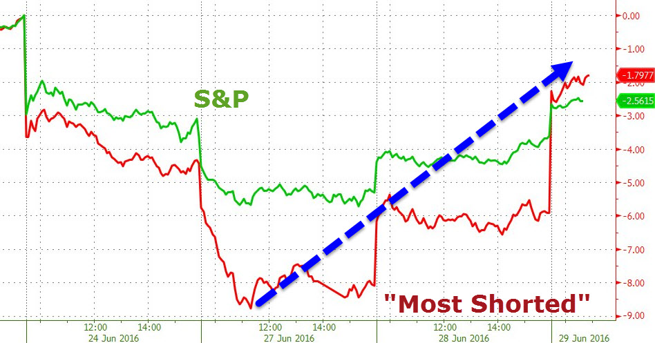 Der USA Bären-Thread 923850