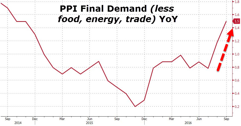 Der USA Bären-Thread 945409