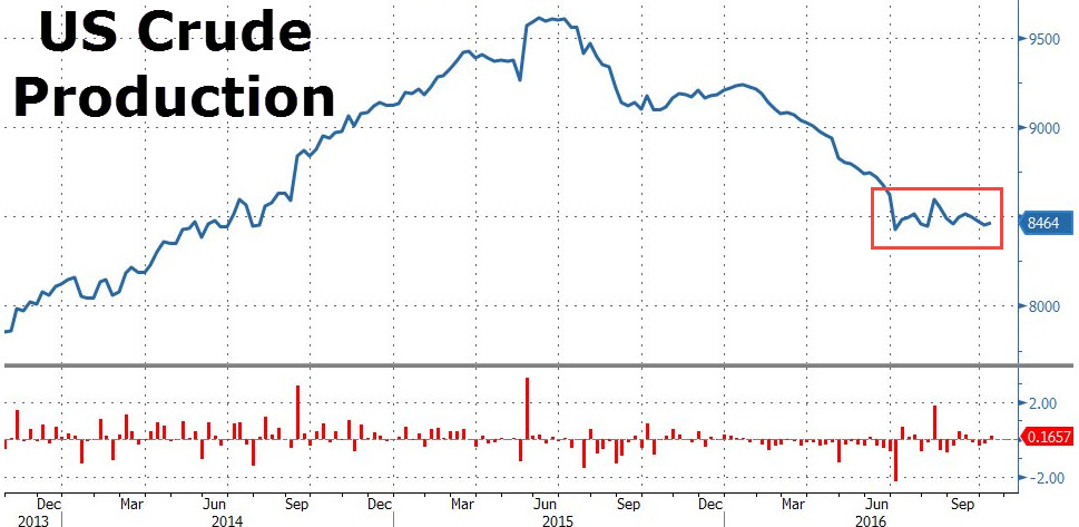 Der USA Bären-Thread 946579