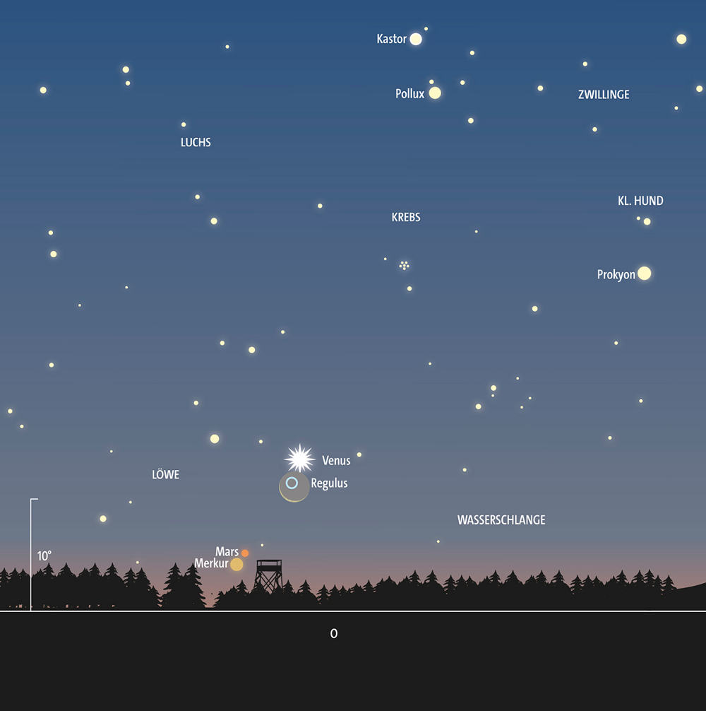 Der USA Bären-Thread 1104688