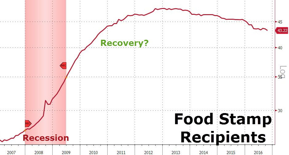 Der USA Bären-Thread 974418