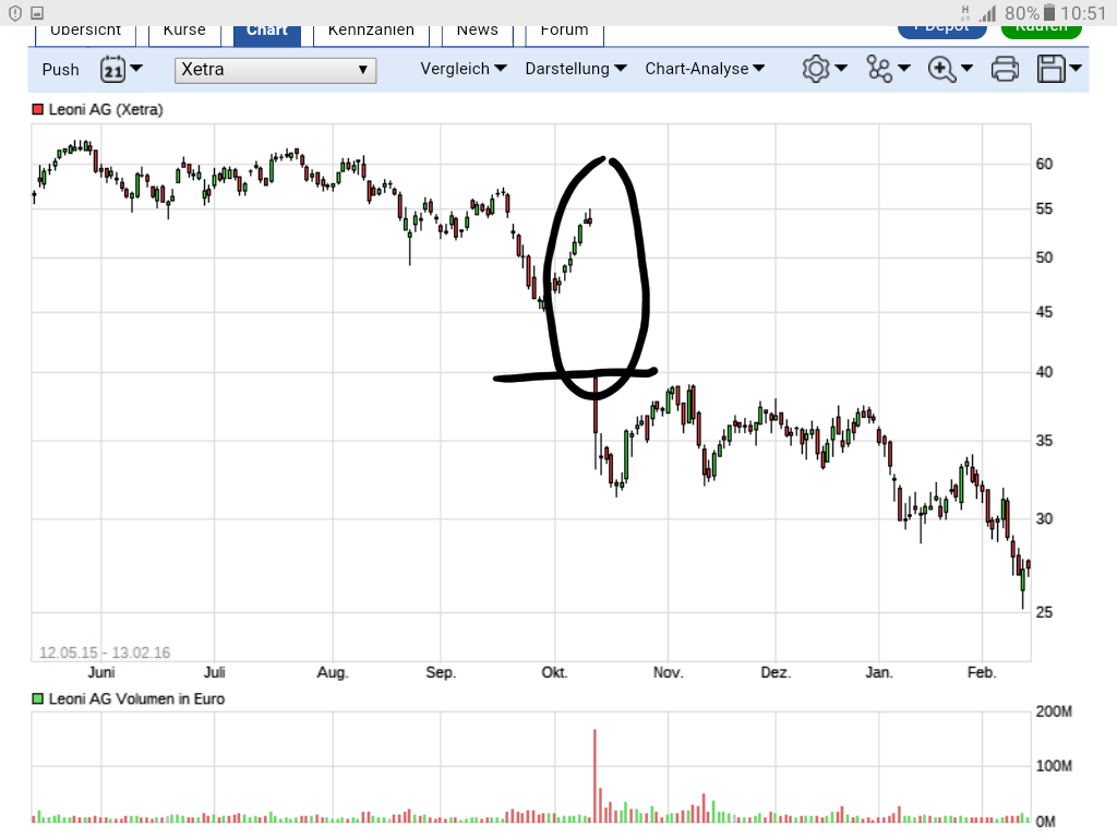 LEONI.... von der Drahtwerkstatt zum Global Player 971483