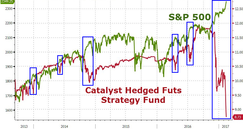 Der USA Bären-Thread 972168