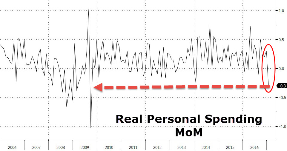 Der USA Bären-Thread 974945