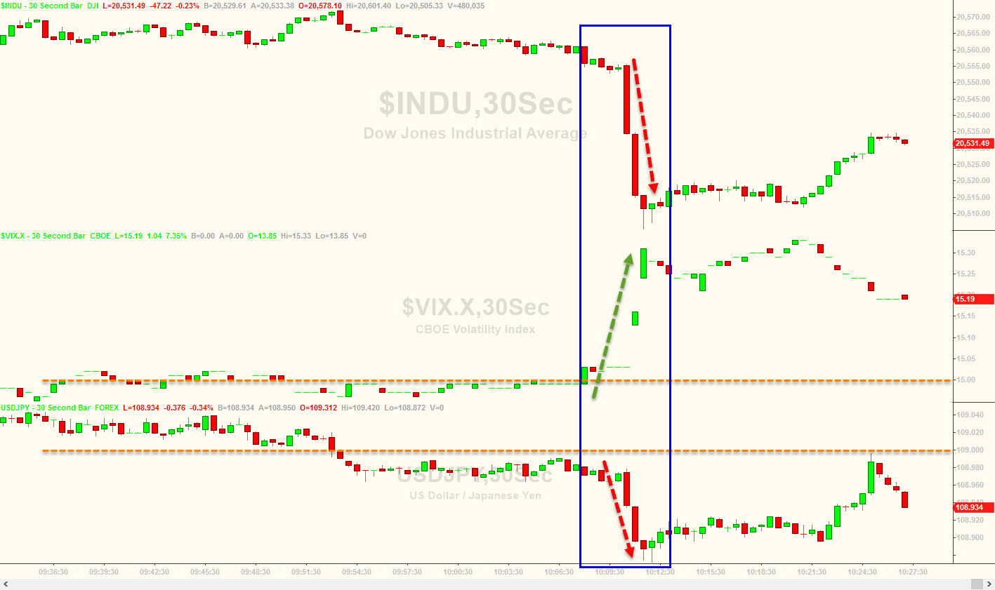 Der USA Bären-Thread 985121