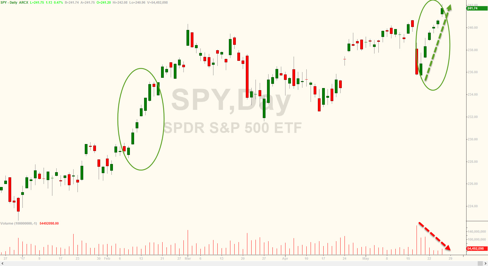 Der USA Bären-Thread 991997