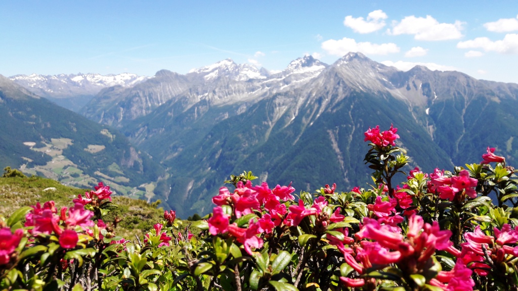 3.104.DAX Tipp-Spiel, Freitag, 23.06.2017,17.45 H 997323