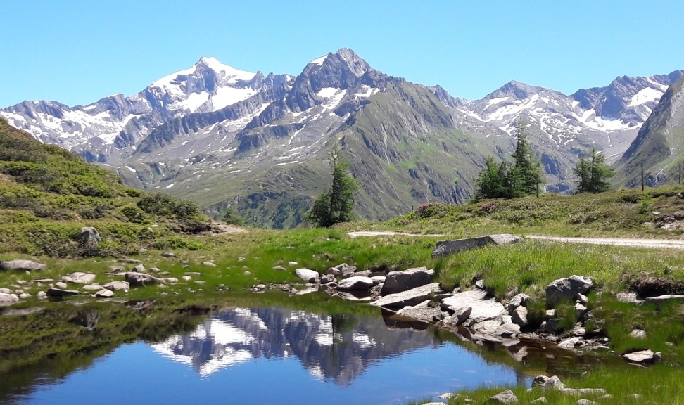 3.108.DAX Tipp-Spiel, Donnerstag, 29.06.17,17.45 H 998211